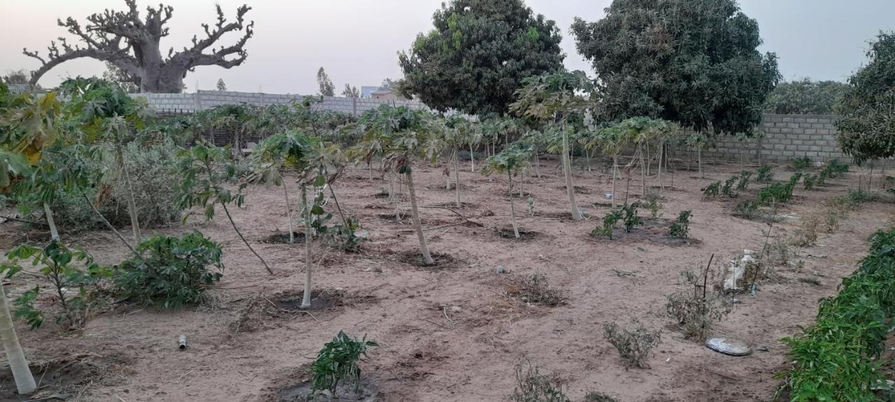 Saly Lrad Le Village Ngaring 외부 사진
