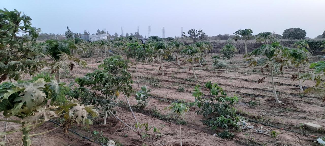 Saly Lrad Le Village Ngaring 외부 사진